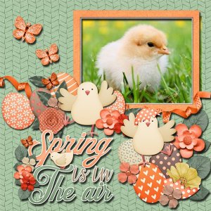 Spring Chicks