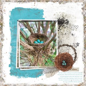 Nest 5-30-20
