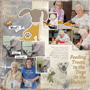 Dog Treats