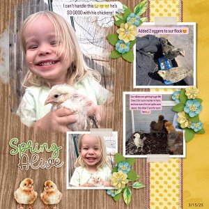 New Chicks