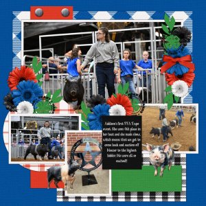 Pearland Expo