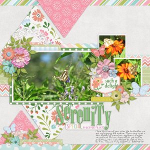 2025-03-07_Serenity