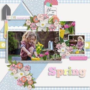 Spring.jpg