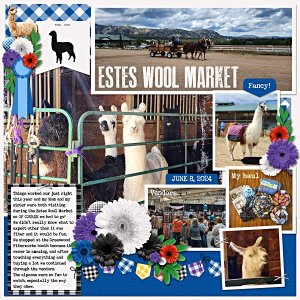 Estes Wool Market 2024: Alpacas! Llamas! Shopping! Oh my!