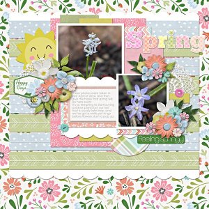 Spring flowers!