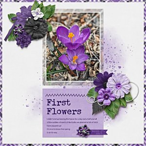 First Flowers of Spring 2025