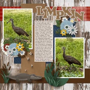_Limpkin Documenting Your Life Challenge 2025 03.jpg