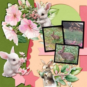 05 Bunny Rabbit  - Buffet_edited-1.jpg