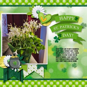 Shamrock-Plant.jpg