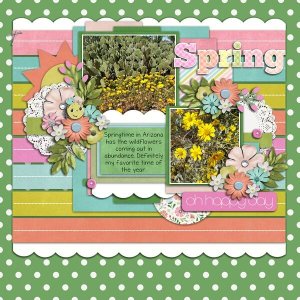 Desert Spring