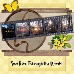 10 Sun rise throughthe  woods -- Font_edited-1.jpg