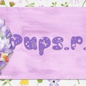 GS-–-Spring-April-2025-Siggy