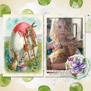 Rabbits