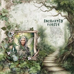 Enchanted Forest