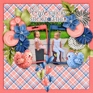 Cute-chicks-stick-together.jpg