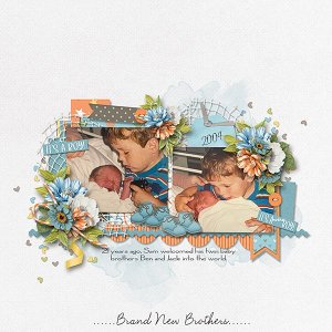 Brand-New-Brothers-copy.webjmb.jpg