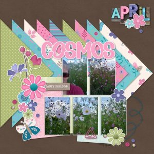 2022-04-06_AprilCosmos