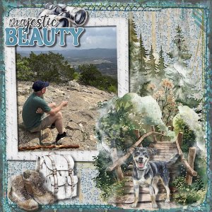DLPatt_MajesticBeauty_web.jpg