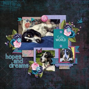 hopes and dreams