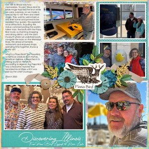 Discovering Illinois