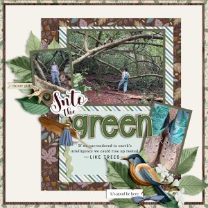 Into-the-Green-webv.jpg