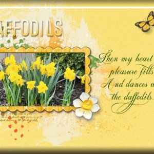 ATC-2025-027-Daffodils