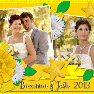 Breanna and Josh's Wedding 2013