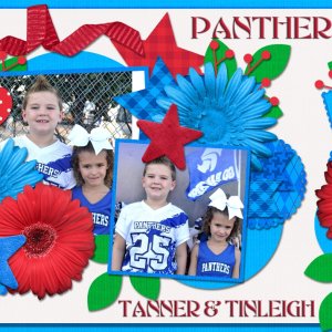 Tanner and Tinleigh QSA