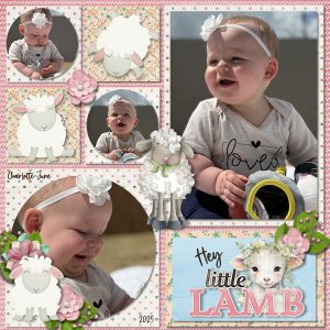 DLPatt_HeyLittleLamb2025_web.jpg