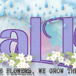 SiggyChallengeApril2025-KitRaindropsBloomsJBS.png