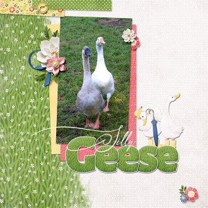 Silly geese