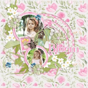 Bloom