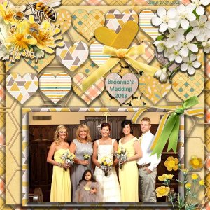 My family at Breanna's Wedding 2013