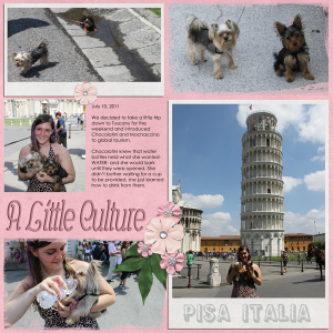 A Little Culture in Pisa