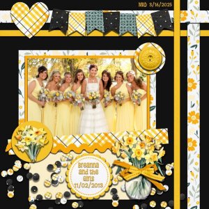 Breanna and her Bridesmaids, November 2, 2013