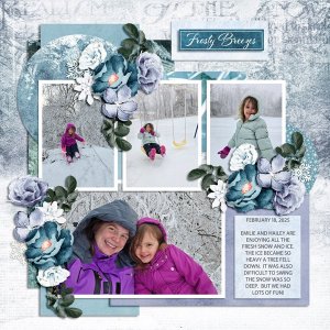 FROSTY--TEMP-2-4-25--WEB.jpg