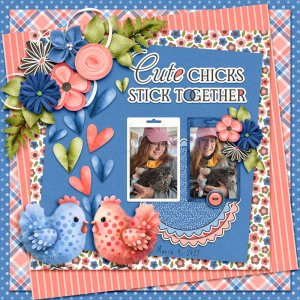 Cute-Chicks-Stick-Together.jpg