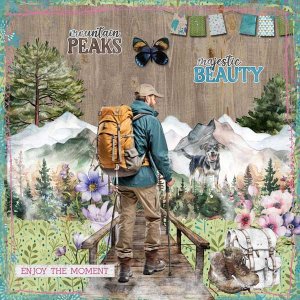 mountain-view-aimee-harriso.jpg