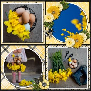 04-Apr-25-Template-Challenge-#1-Robyn-Scrapbookcrazy.jpg