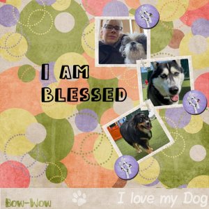 2025-04-06-dogs.jpg