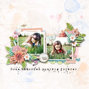 enchanted memories