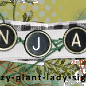 SNP-crazy-plant-lady-siggi-0425-web-anja.png