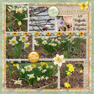 2025_04 Ginger SeasonalSplendor smaller.jpg