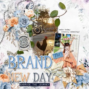 brand-new-day-webv.jpg