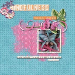 Mindfullness-sm.jpg