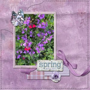 Created W Rewards 8x8 72.jpg
