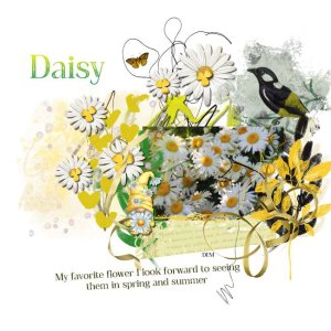 Daisy
