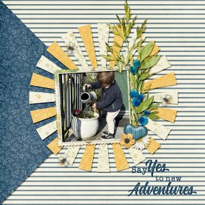 New Adventures
