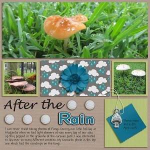 After the Rain