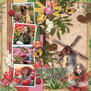 DLPatt_SpringSplendor_web.jpg